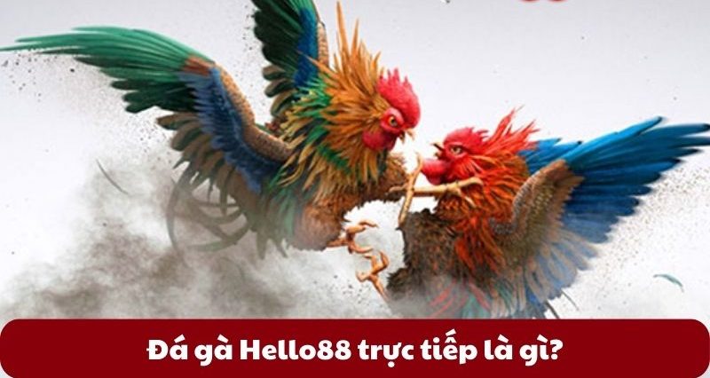 Đá gà Hello88 trực tiếp là gì?